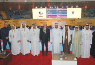 wp header logo17711784071627621641