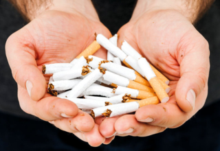 wp header logo17711892091342519300