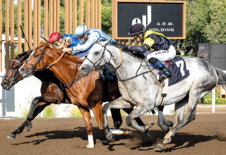 wp header logo1771192814194843271