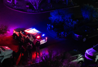 wp header logo17711928291684403320