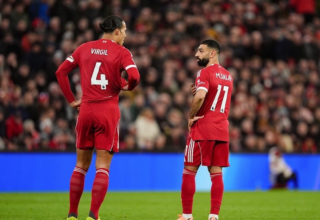 wp header logo1771200017532441743