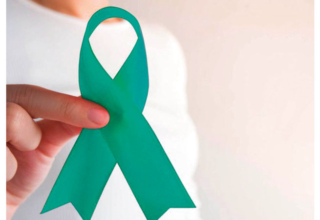 wp header logo17712036071955614948