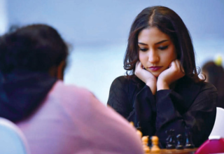 wp header logo1771203611739378413