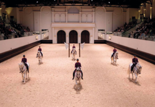 wp header logo17712036301621029044