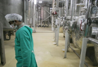 wp header logo1771218017320169510