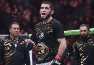 wp header logo1771218025153656525