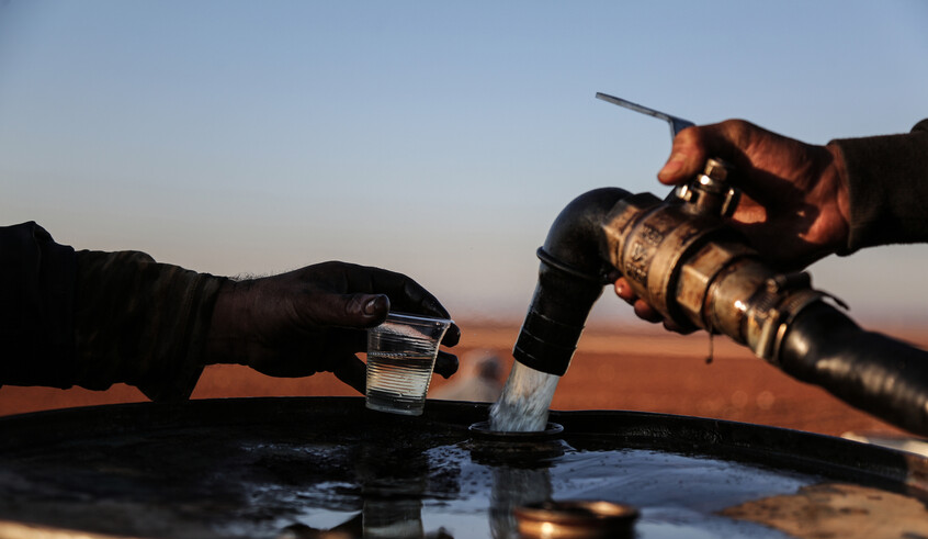 wp header logo1771225209707912232