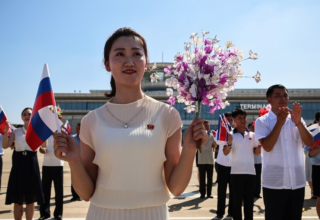 wp header logo17712252532103977393