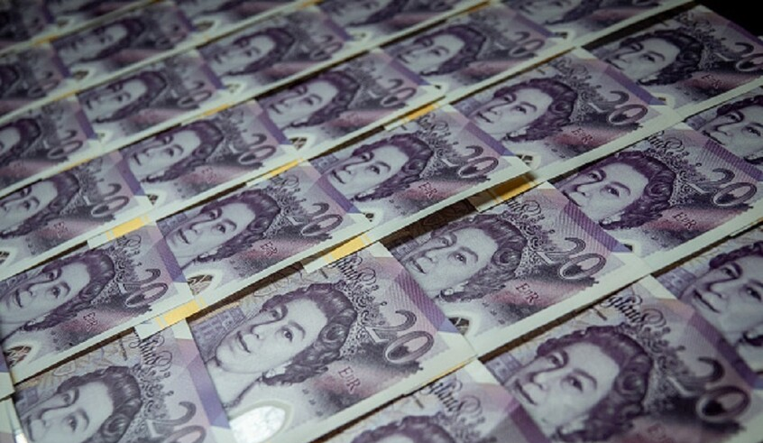 wp header logo1771232433225021819