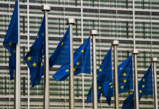 wp header logo1771236050435346261