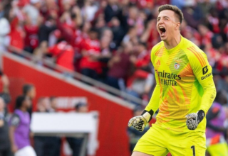 wp header logo17712432121822383737