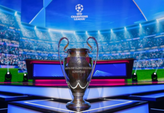 wp header logo177125406819846609