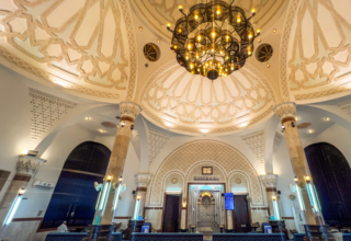 wp header logo1771264808294873167