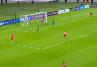 wp header logo1771279211578233395