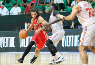 wp header logo1771290023578945720