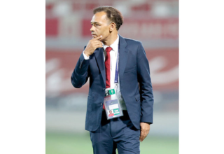 wp header logo1771290034284087172