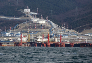 wp header logo1771308010572991306