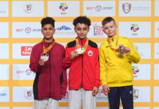 wp header logo17713116081586481752