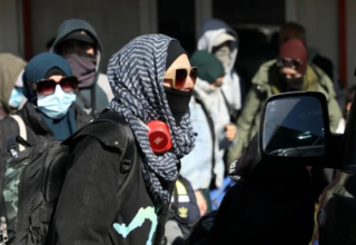 wp header logo17713152101841666087