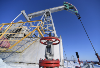 wp header logo1771315229767523503