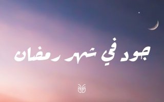 wp header logo17713188121547525077