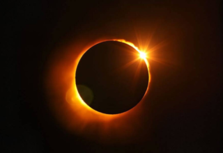 wp header logo1771322407276306797