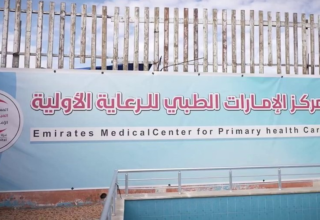 wp header logo1771326012140064969