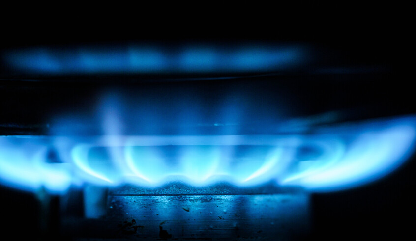 wp header logo1771329609459078121