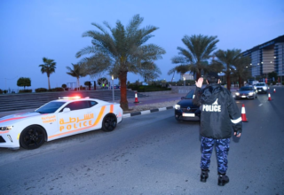 wp header logo17713296152092371968