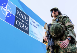 wp header logo17713332661221319976