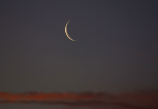 wp header logo1771336809261379047