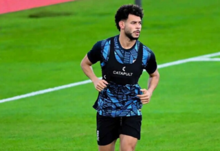 wp header logo1771336809896113917