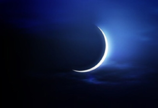 wp header logo17713404671140559732