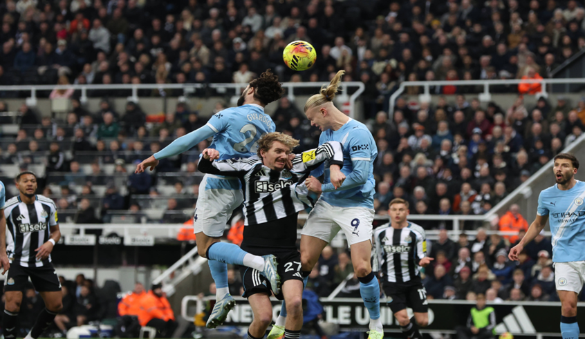 wp header logo1771344008228132345