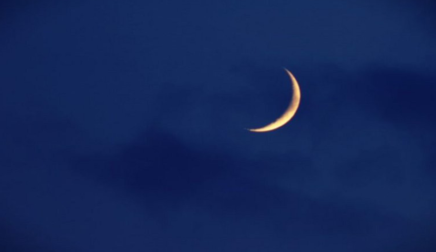 wp header logo17713440471215066587