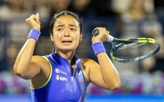 wp header logo177135841343442821