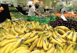 wp header logo17713620142138669198