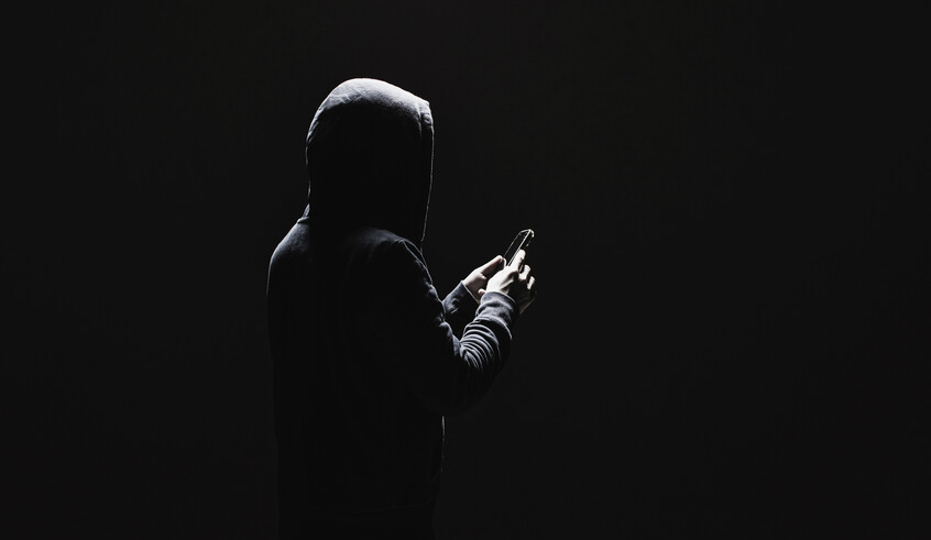 wp header logo1771376408389615656