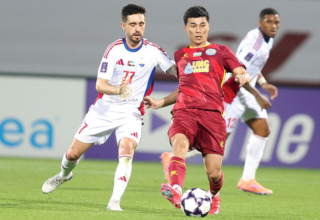 wp header logo17713764091917771614