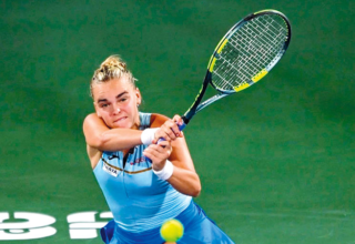 wp header logo17713764151100299860