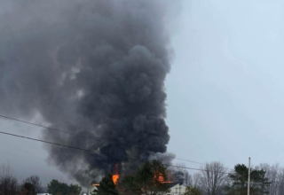 wp header logo1771398021517997579