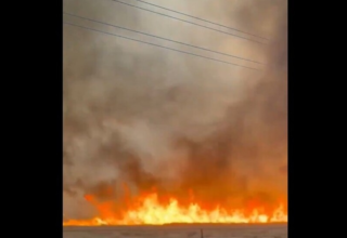 wp header logo1771398070521806202