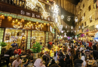 wp header logo17714052202055531674