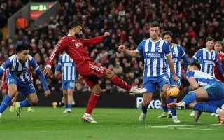 wp header logo17714088081654145676