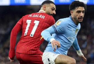 wp header logo1771412417292245537