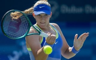 wp header logo17714160082107483018