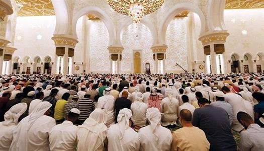 wp header logo17714160131287462783