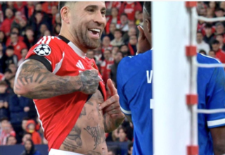 wp header logo177141961076794959