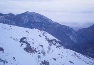 wp header logo17714196121681820526