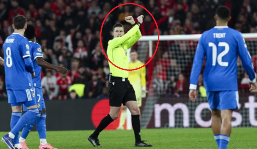 wp header logo17714196241852412884